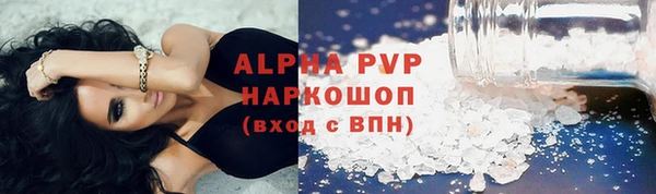 стаф Алзамай