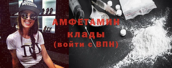 стаф Алзамай